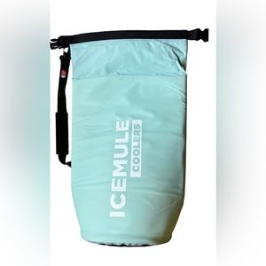 ICEMULE COOLERS Ice Mule Classic Small 10L Soft Cooler Bag Color: Seafoam